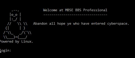 mbseprofessional.jpg